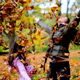 Illustration for article titled Shooting Challenge Fall Leaves Gallery 8